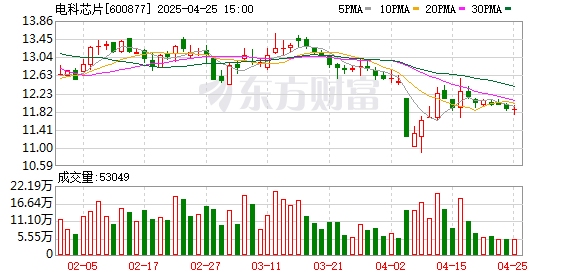 配资公司排行 电科芯片：2024年净利润6865.49万元 同比下降70.67%